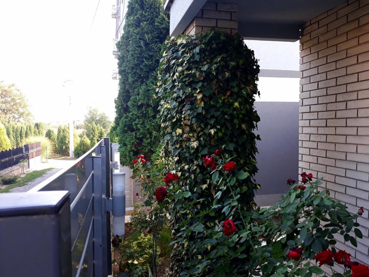 Apartments Popovic Belgrado Exterior foto